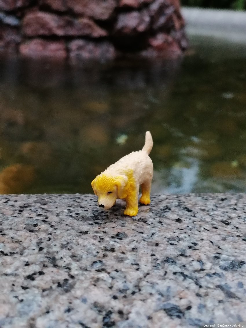 Лурения - Петербург: прогулка с питомцами под дождём