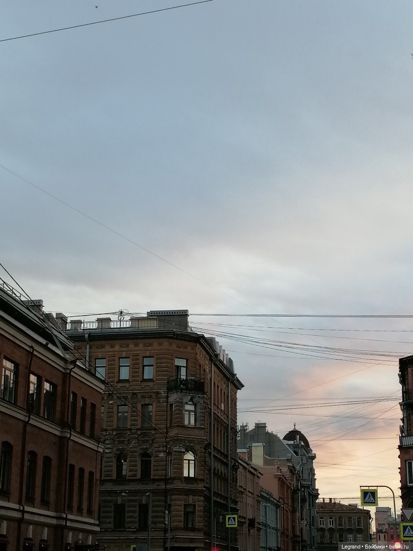 Лурения - Петербург: Отто и июньские цветы - часть вторая