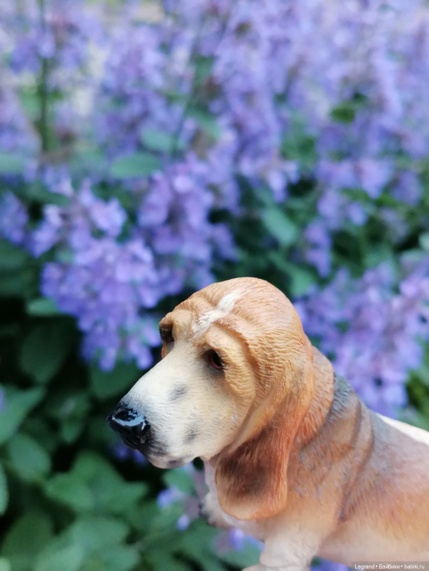 Лурения - Петербург: Отто и июньские цветы - часть вторая