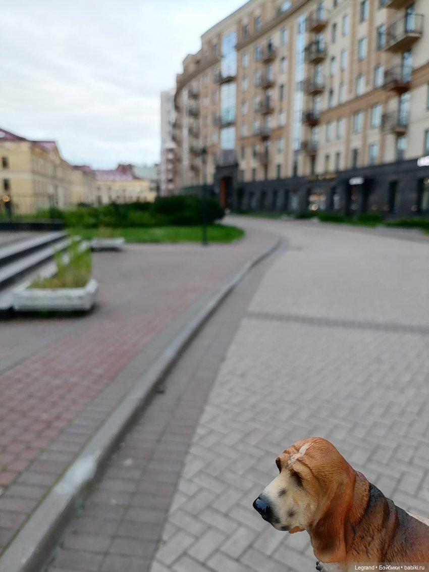 Лурения - Петербург: Отто и июньские цветы - часть вторая