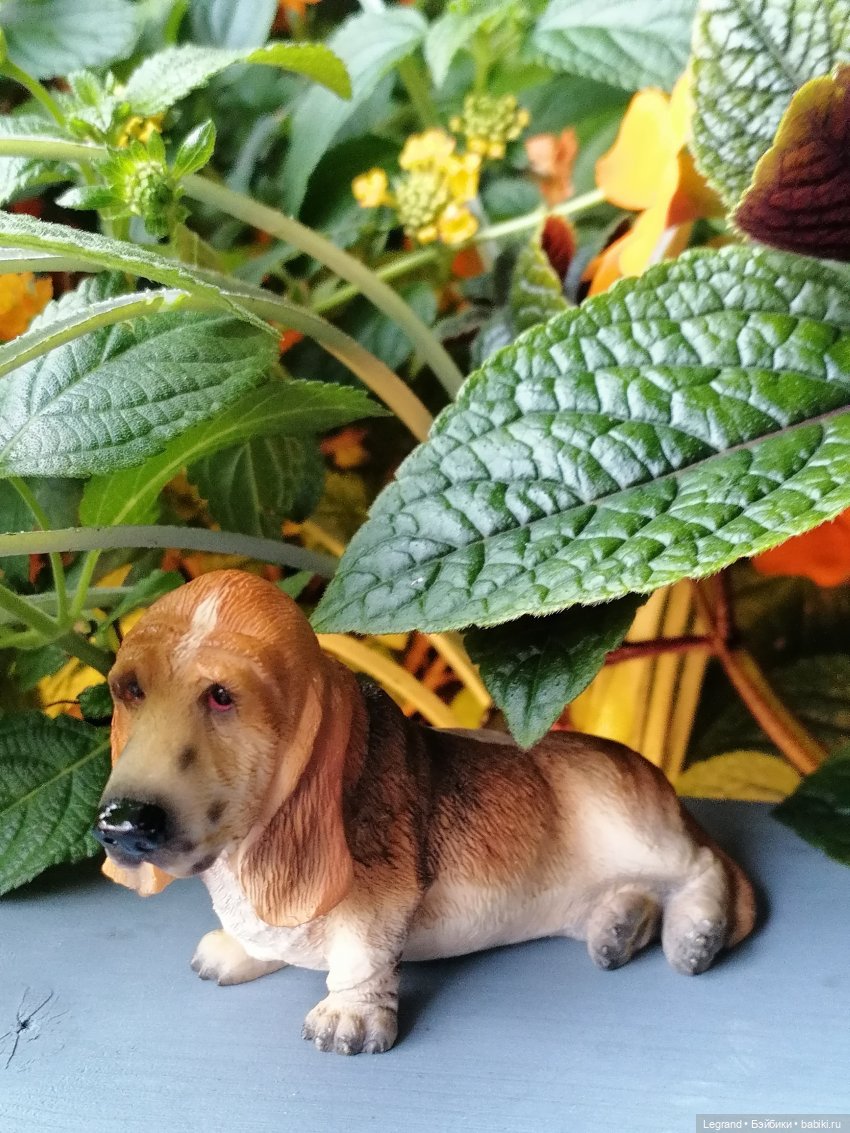 Лурения - Петербург: Отто и июньские цветы - часть первая