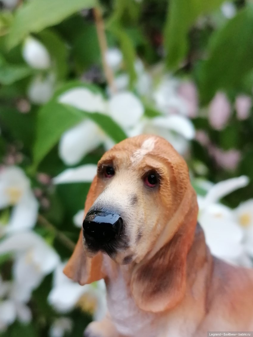 Лурения - Петербург: Отто и июньские цветы - часть вторая