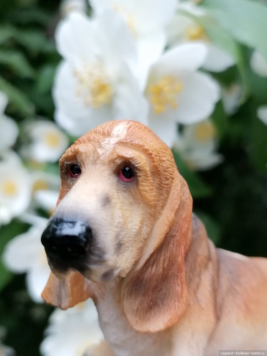 Лурения - Петербург: Отто и июньские цветы - часть первая