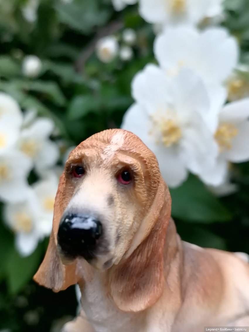 Лурения - Петербург: Отто и июньские цветы - часть первая