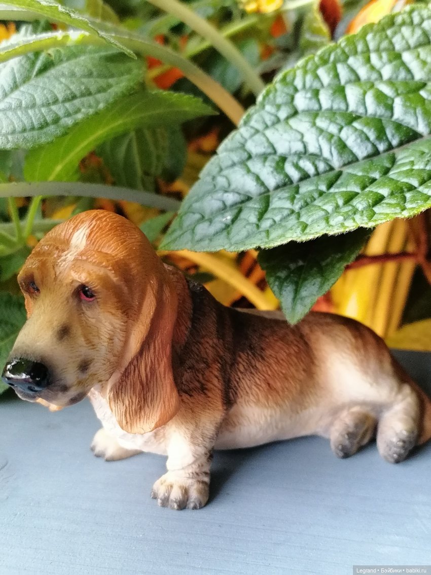 Лурения - Петербург: Отто и июньские цветы - часть первая