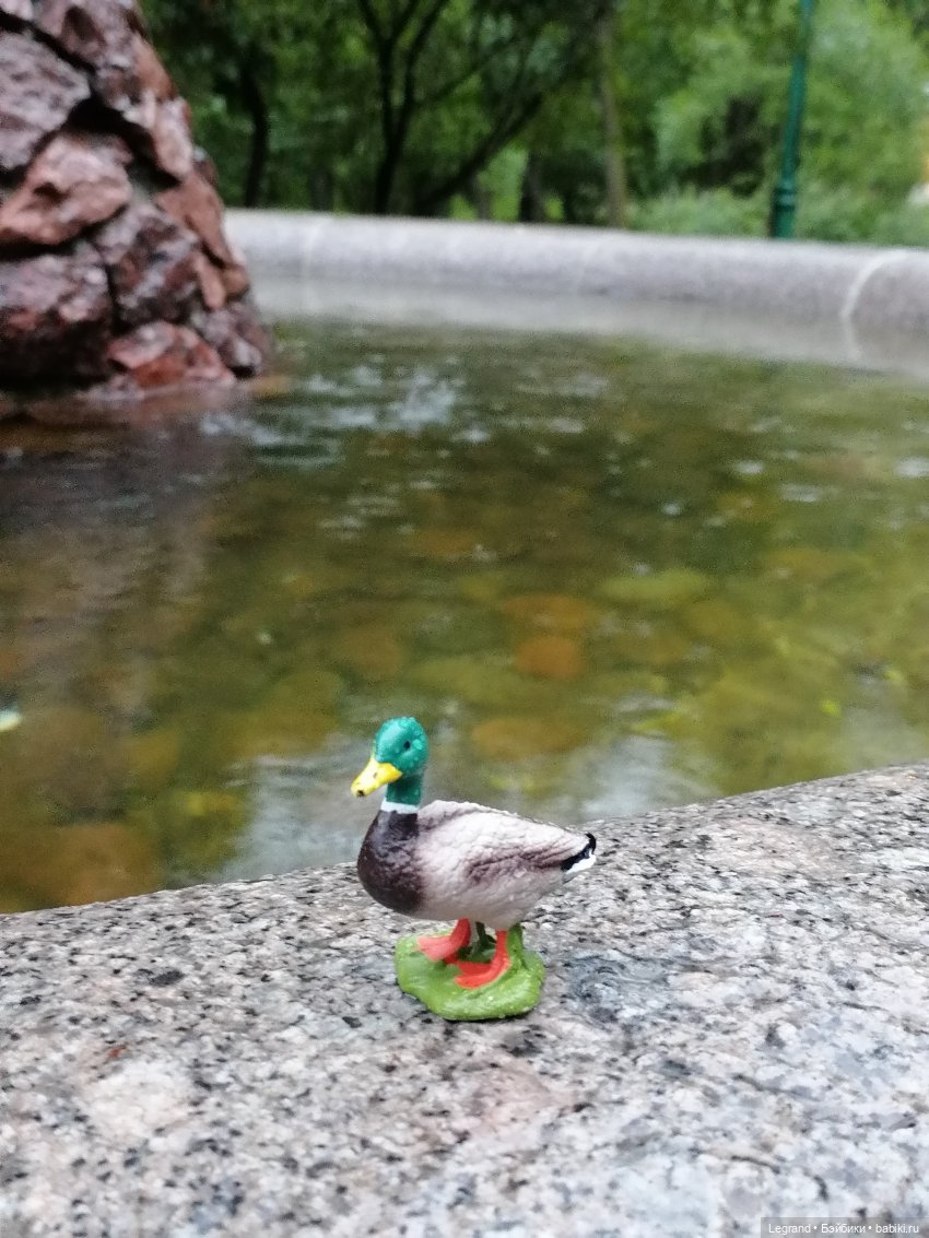 Лурения - Петербург: прогулка с питомцами под дождём