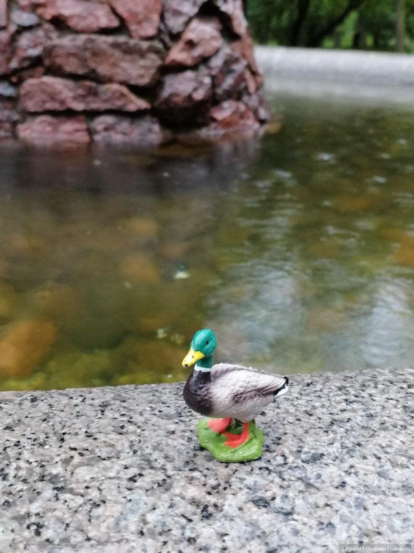 Лурения - Петербург: прогулка с питомцами под дождём