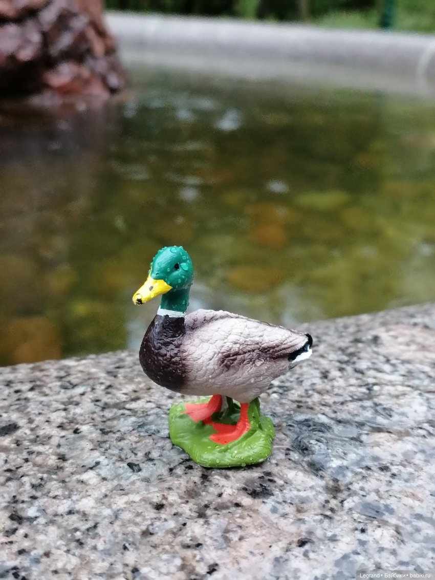 Лурения - Петербург: прогулка с питомцами под дождём