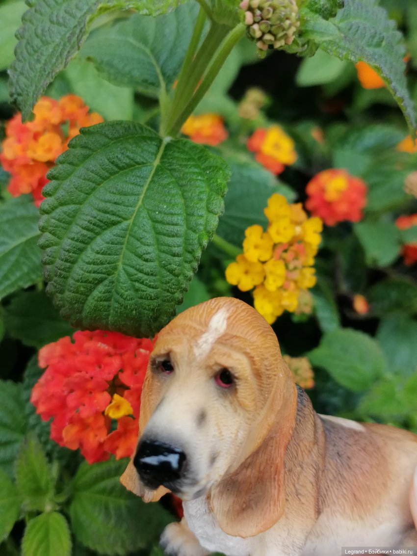 Лурения - Петербург: Отто и июньские цветы - часть первая