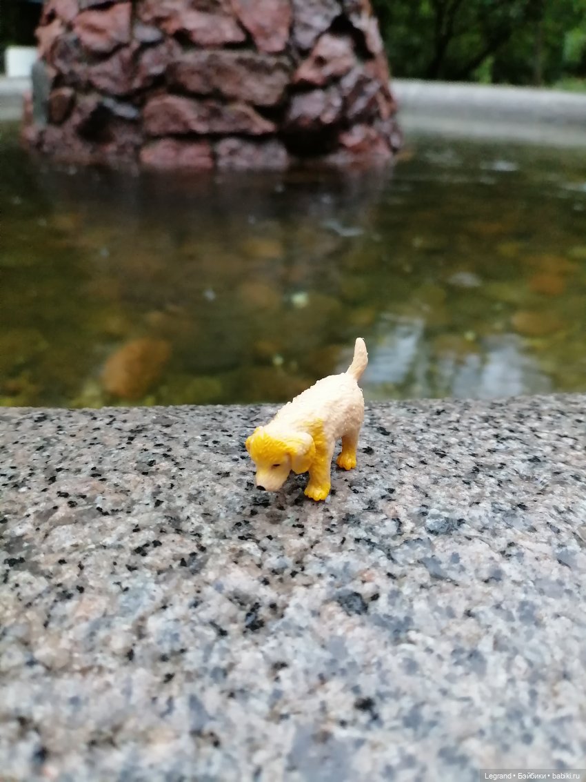 Лурения - Петербург: прогулка с питомцами под дождём