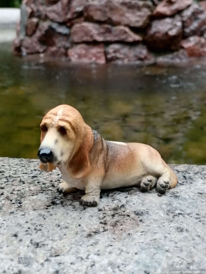 Лурения - Петербург: Отто и июньские цветы - часть вторая