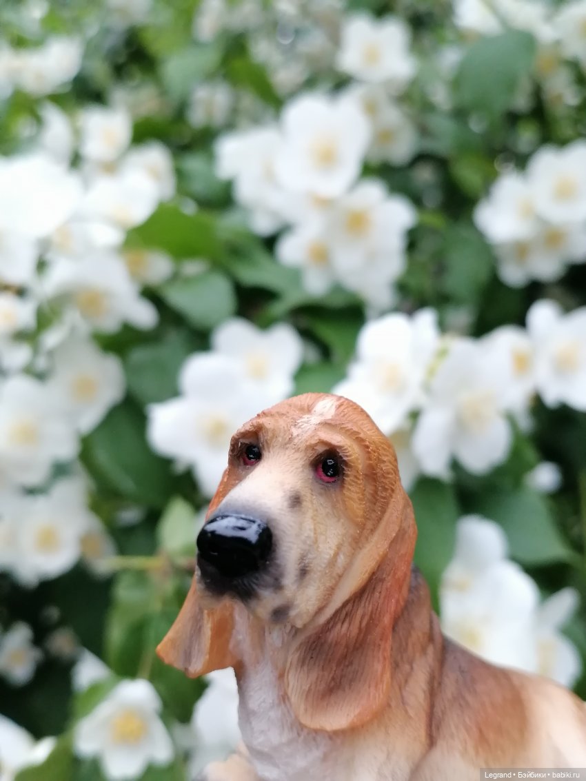 Лурения - Петербург: Отто и июньские цветы - часть вторая