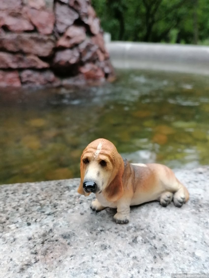 Лурения - Петербург: Отто и июньские цветы - часть вторая