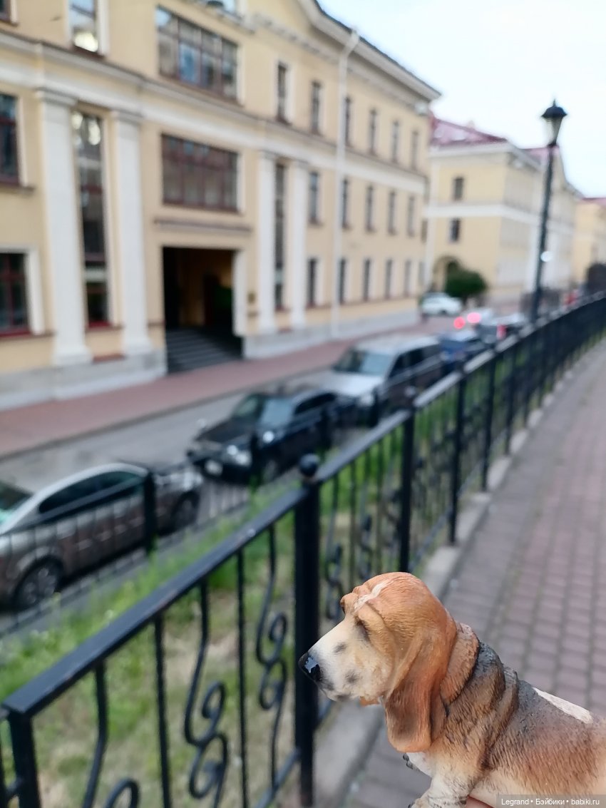 Лурения - Петербург: Отто и июньские цветы - часть вторая