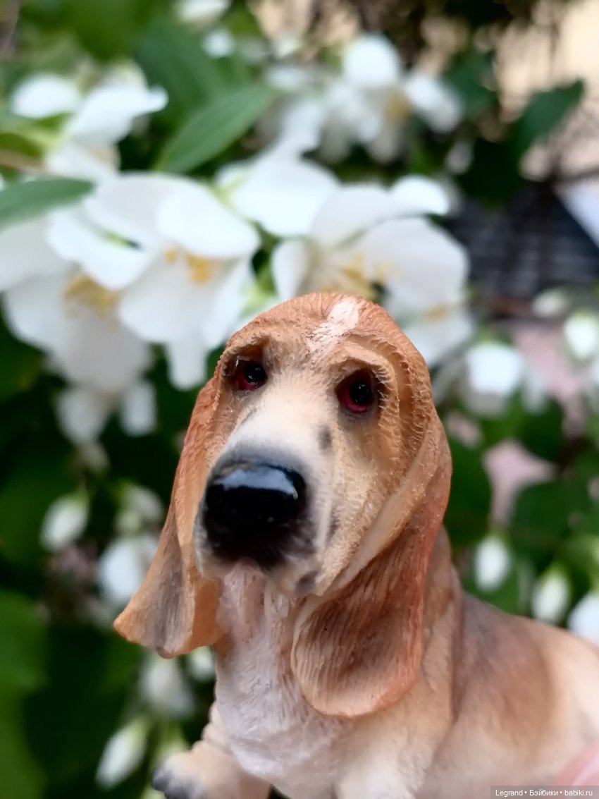 Лурения - Петербург: Отто и июньские цветы - часть вторая