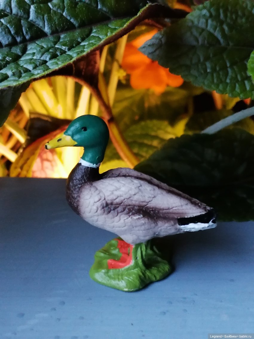 Лурения - Петербург: прогулка с питомцами под дождём