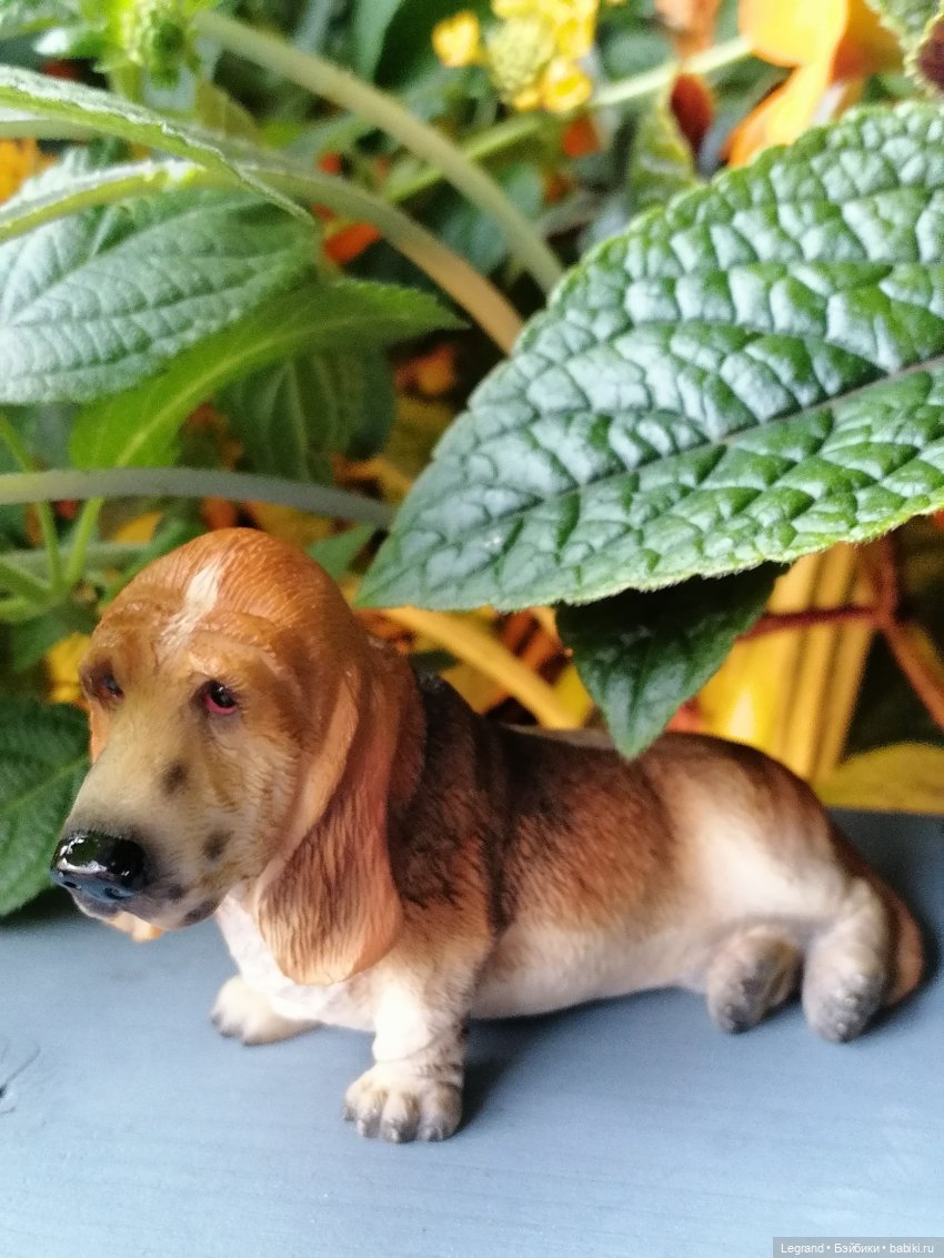 Лурения - Петербург: Отто и июньские цветы - часть первая