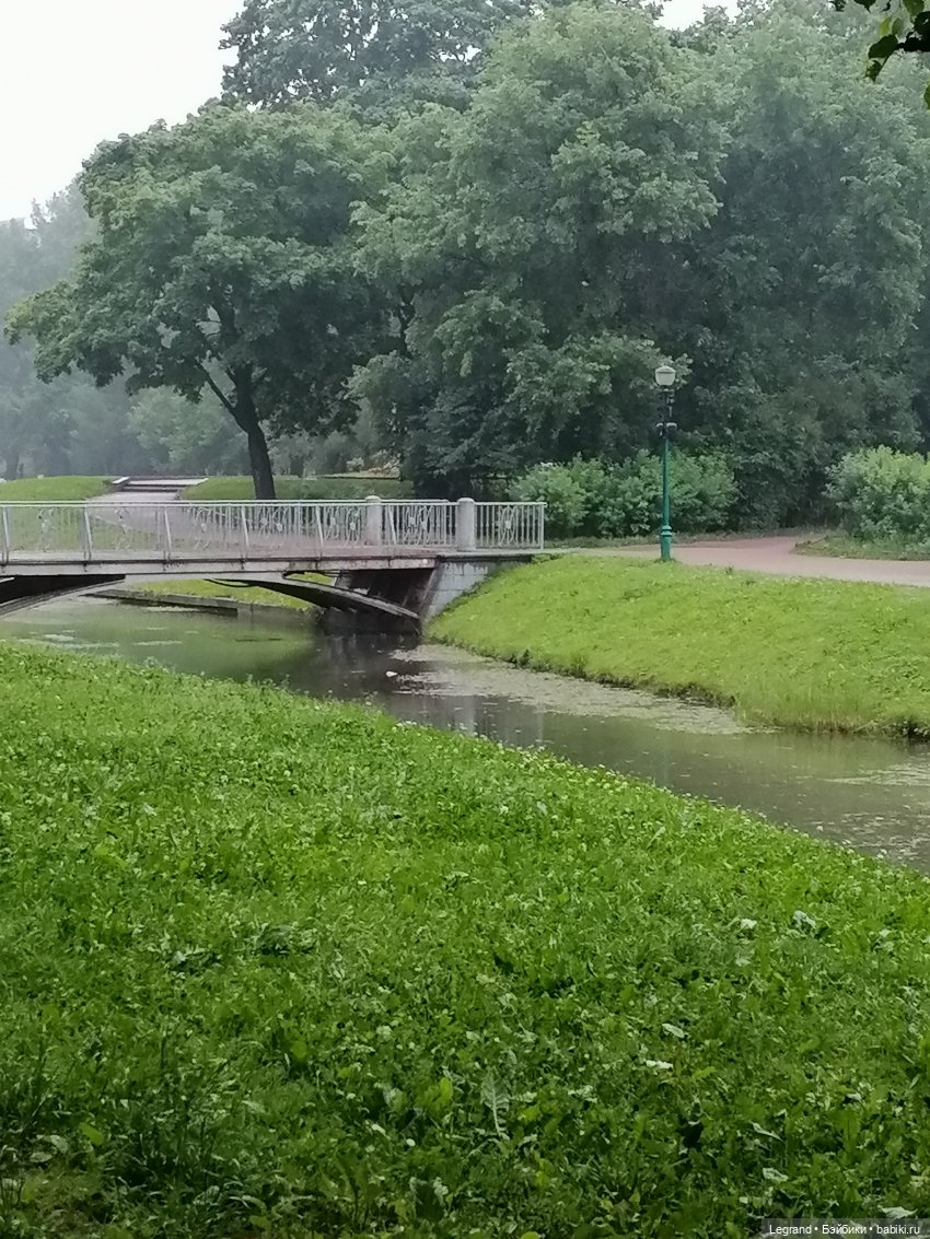 Лурения - Петербург: прогулка с питомцами под дождём