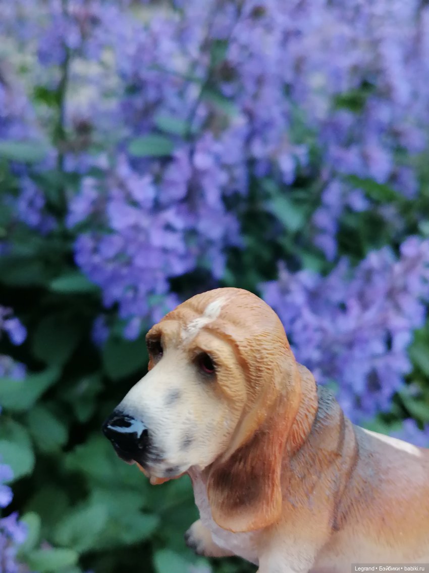 Лурения - Петербург: Отто и июньские цветы - часть вторая