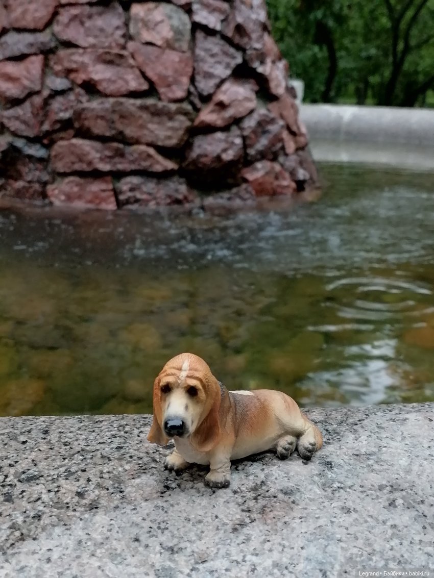 Лурения - Петербург: Отто и июньские цветы - часть вторая
