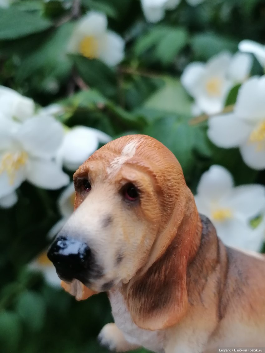 Лурения - Петербург: Отто и июньские цветы - часть первая