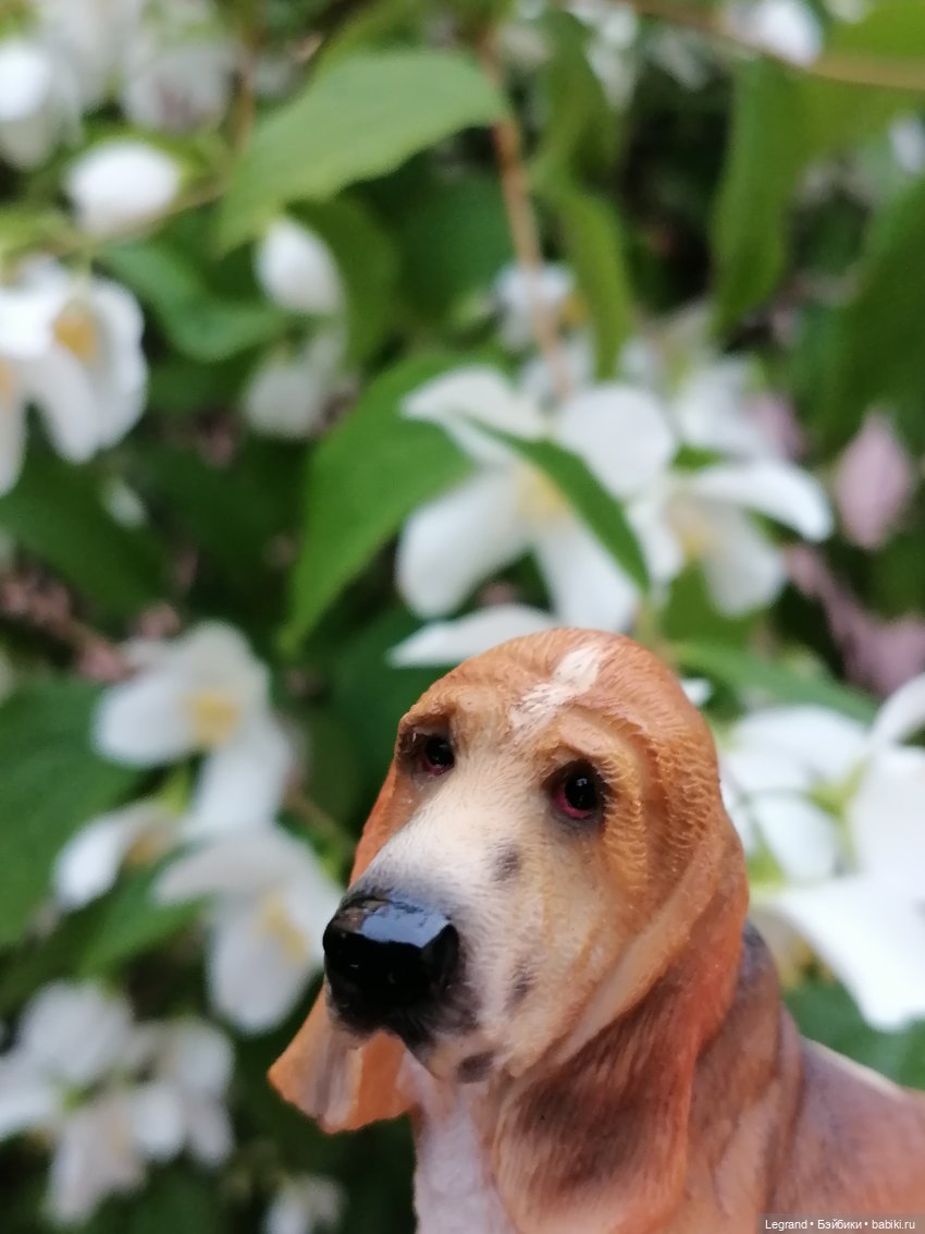 Лурения - Петербург: Отто и июньские цветы - часть вторая