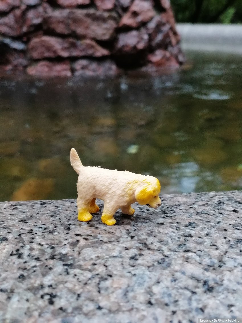 Лурения - Петербург: прогулка с питомцами под дождём