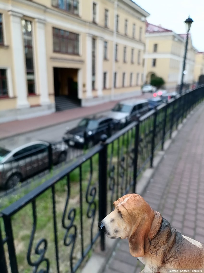 Лурения - Петербург: Отто и июньские цветы - часть вторая