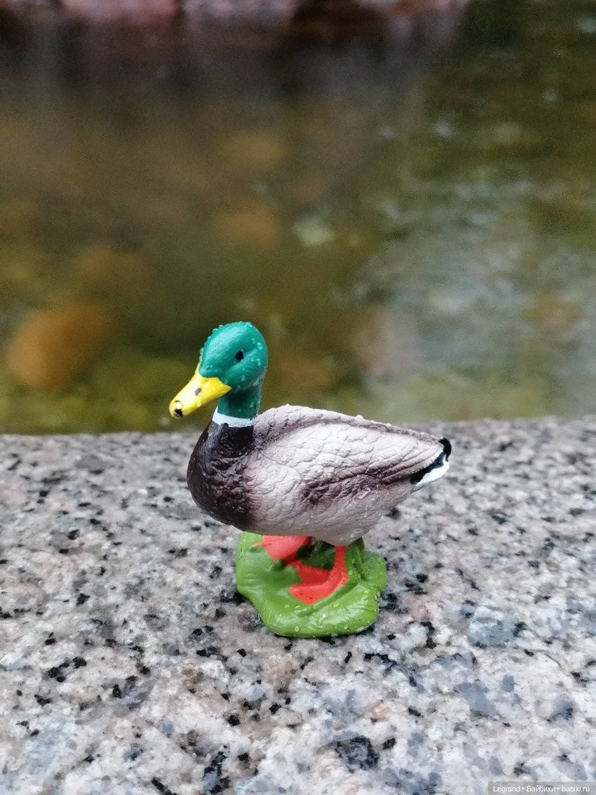 Лурения - Петербург: прогулка с питомцами под дождём