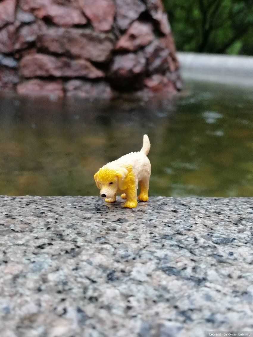 Лурения - Петербург: прогулка с питомцами под дождём