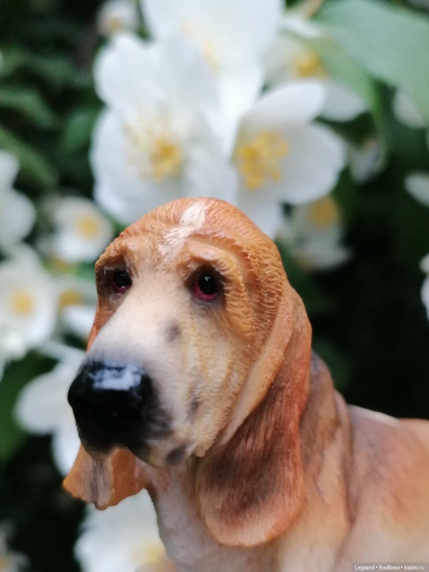 Лурения - Петербург: Отто и июньские цветы - часть первая