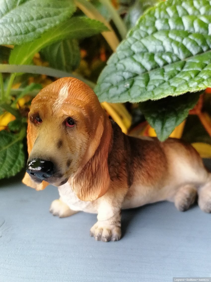 Лурения - Петербург: Отто и июньские цветы - часть первая