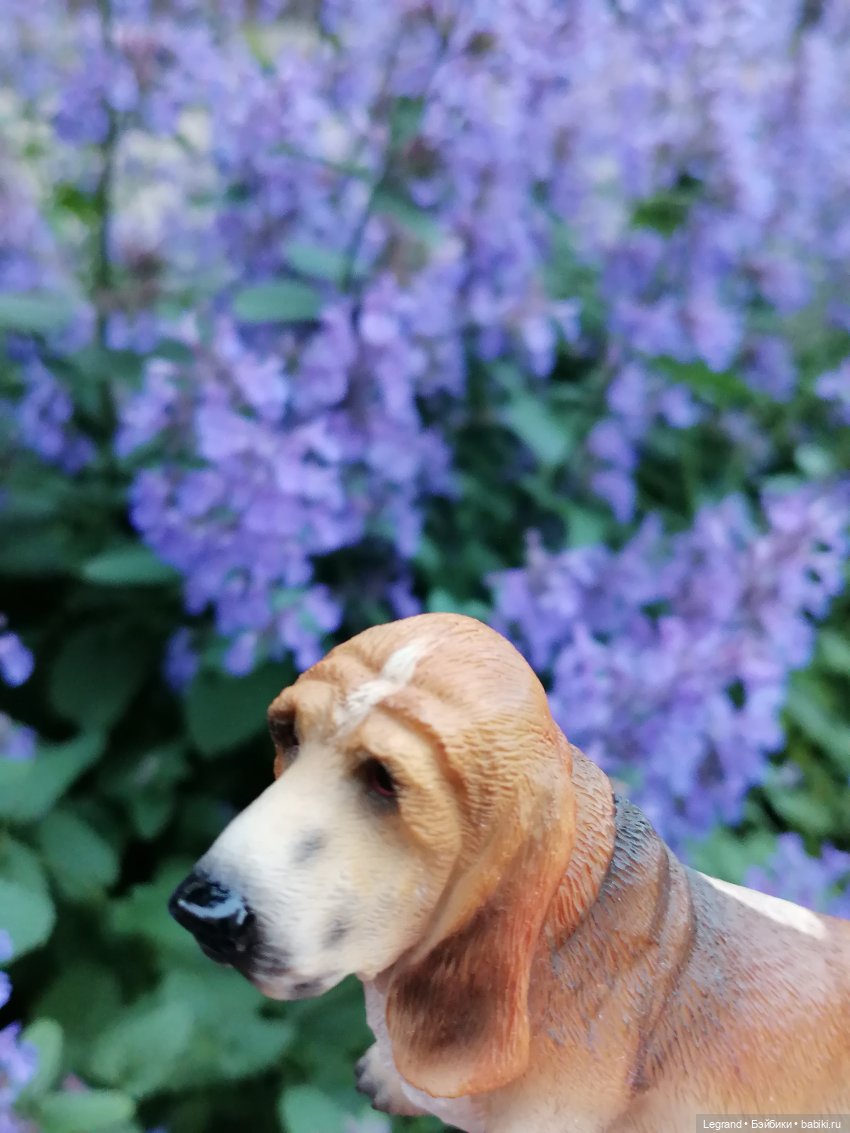 Лурения - Петербург: Отто и июньские цветы - часть вторая