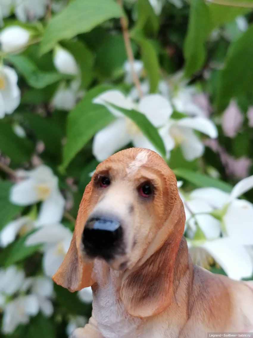 Лурения - Петербург: Отто и июньские цветы - часть вторая