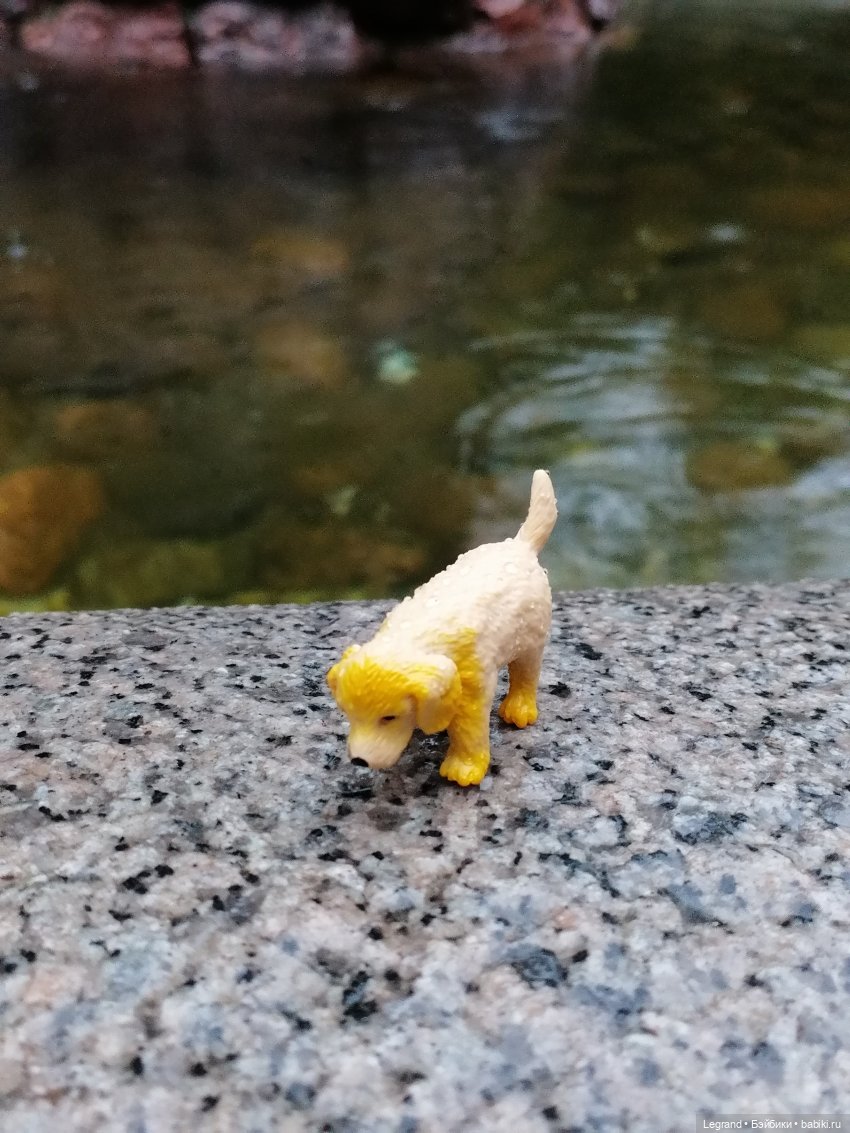 Лурения - Петербург: прогулка с питомцами под дождём