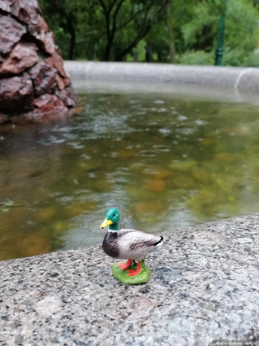 Лурения - Петербург: прогулка с питомцами под дождём