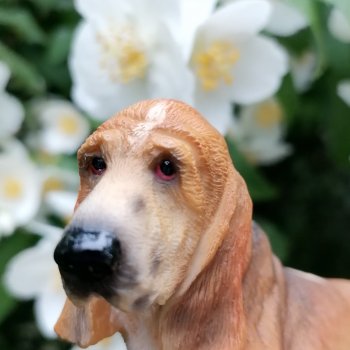 Лурения - Петербург: Отто и июньские цветы - часть первая