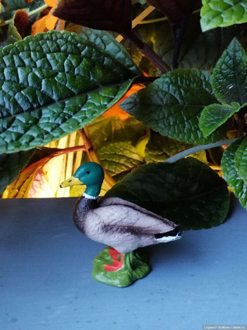 Лурения - Петербург: прогулка с питомцами под дождём