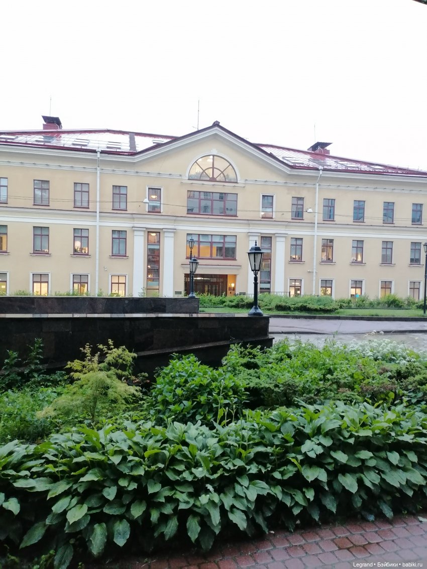 Лурения - Петербург: прогулка с питомцами под дождём