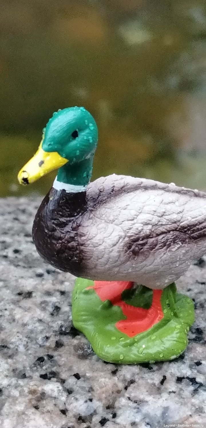 Лурения - Петербург: прогулка с питомцами под дождём