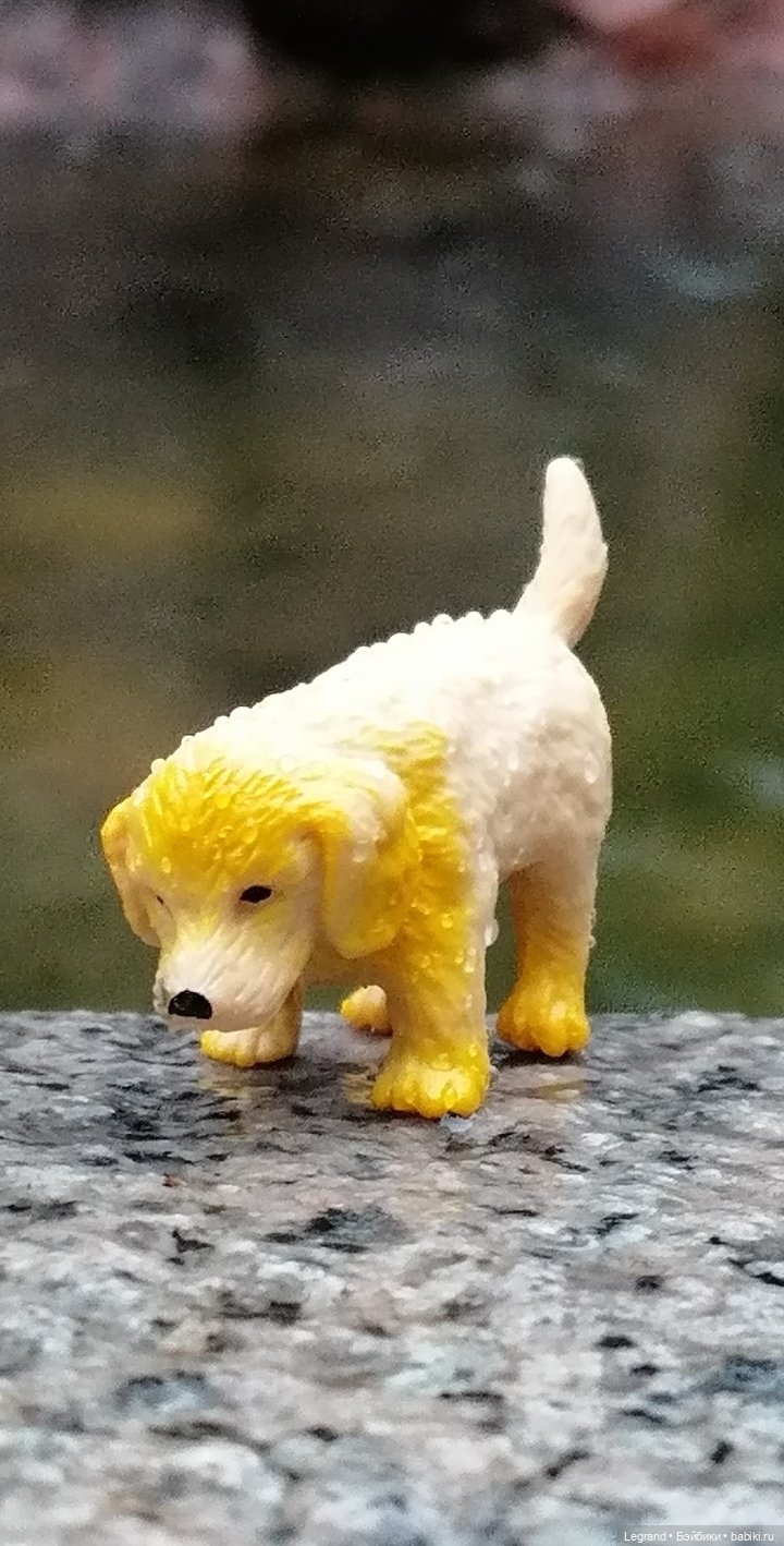 Лурения - Петербург: прогулка с питомцами под дождём