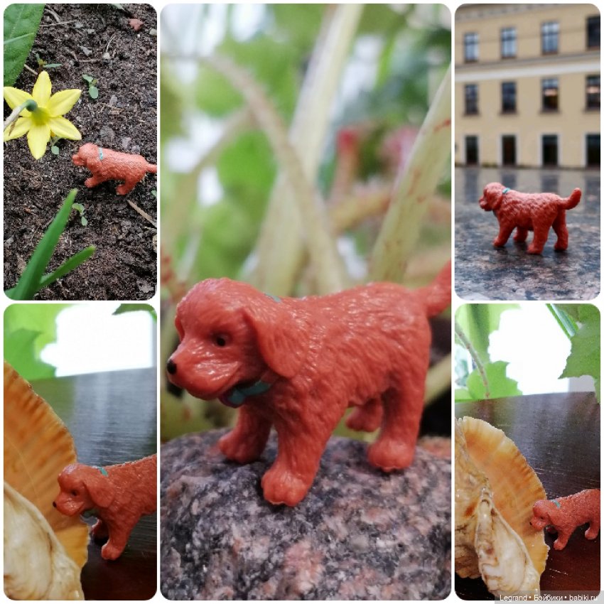 Лурения: перепись собачек - 2025