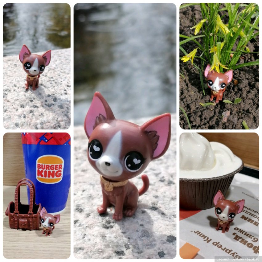 Лурения: перепись собачек - 2025