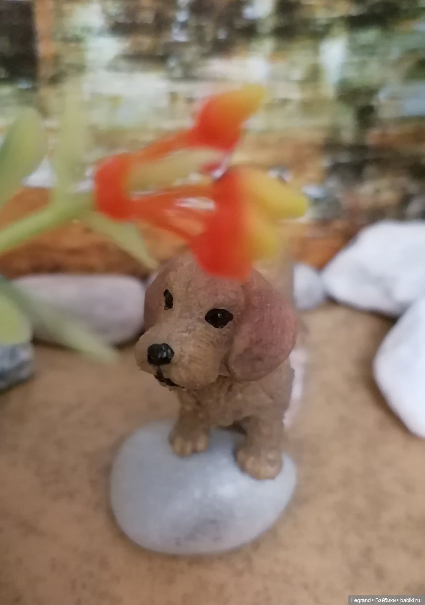 Лурения: перепись собачек - 2025