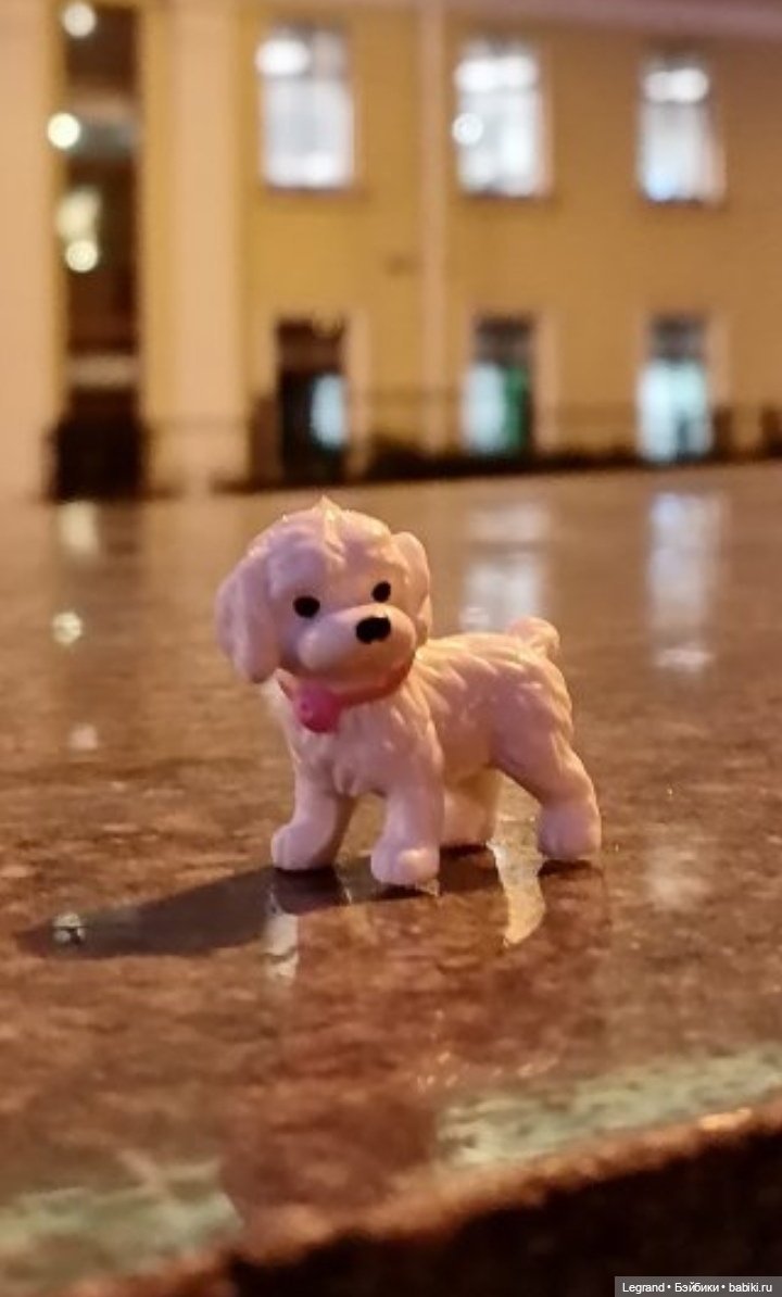 Лурения: перепись собачек - 2025