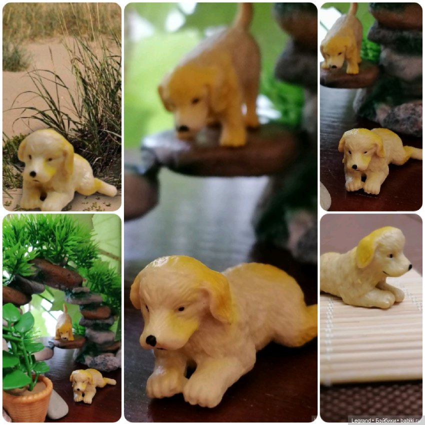 Лурения: перепись собачек - 2025