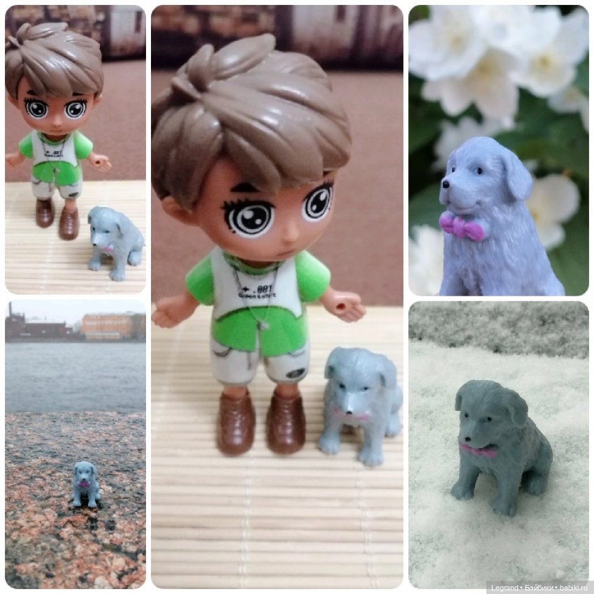 Лурения: перепись собачек - 2025