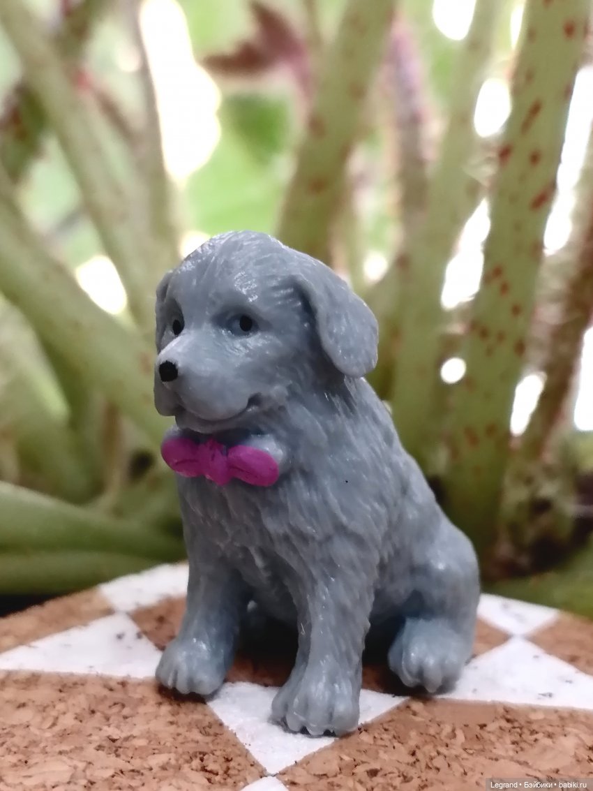 Лурения: прогулки собачек от Kari