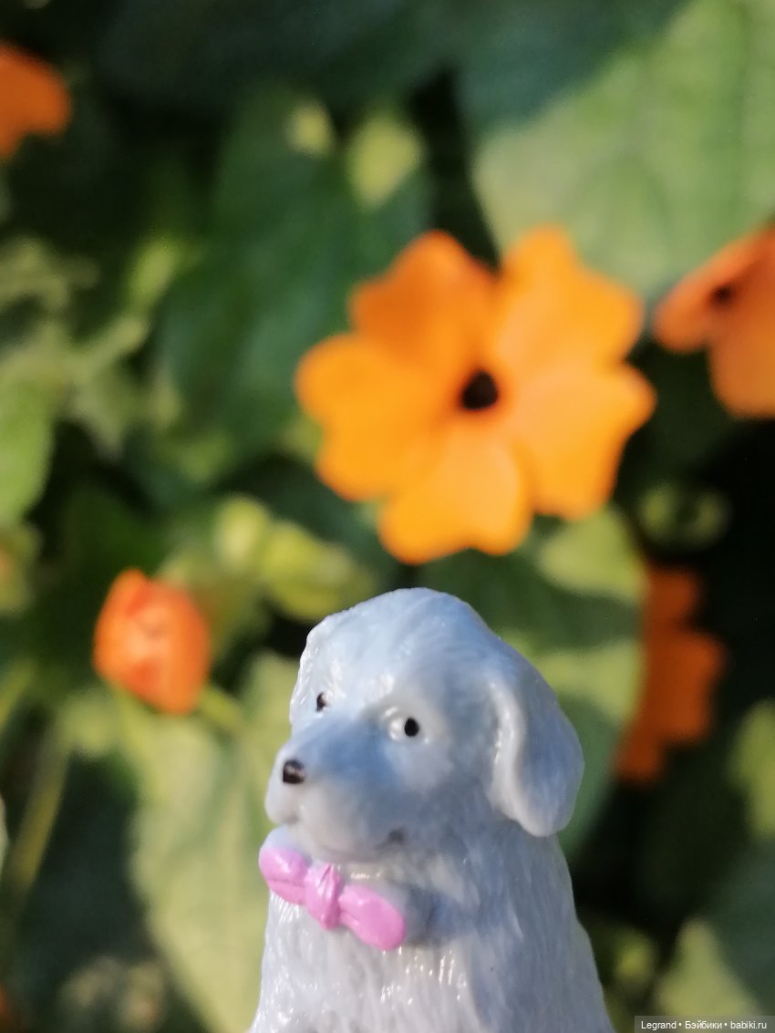 Лурения: прогулки собачек от Kari