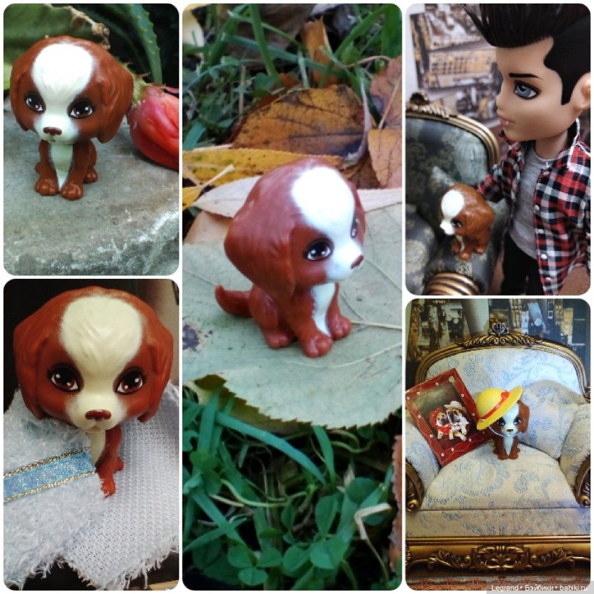 Лурения: перепись собачек - 2025 (фото 10)